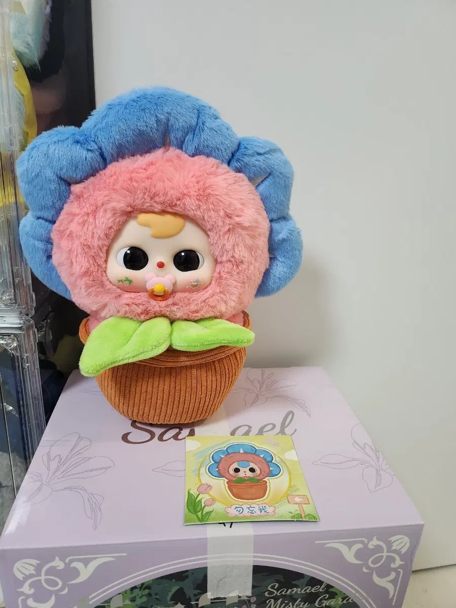 베이비쓰리화분