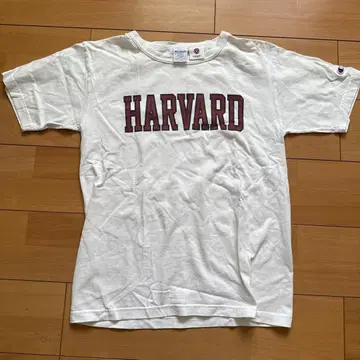 Champion T1011 HARVARD 티셔츠 M 사이즈