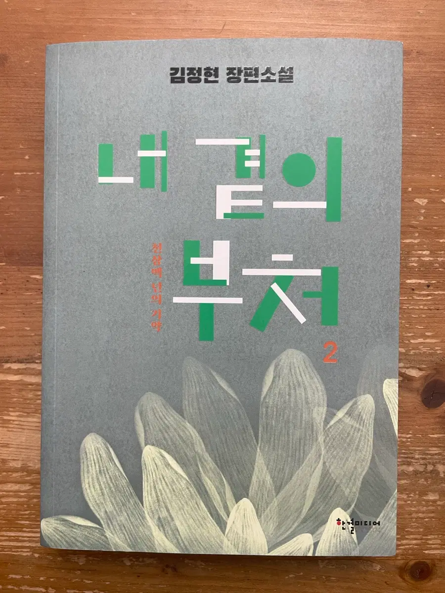 내 곁의 부처 2 - 김정현