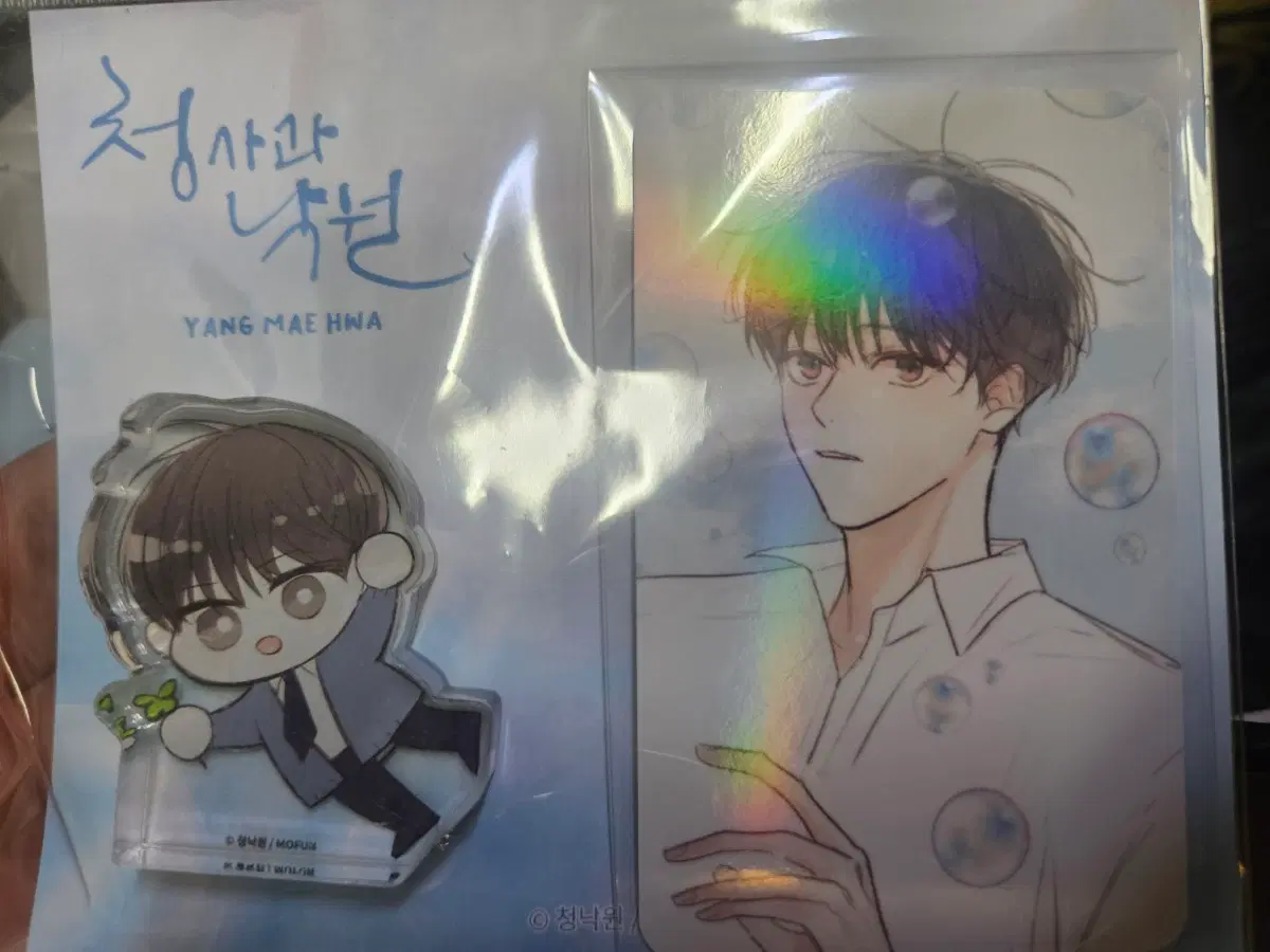 모펀 청사과낙원 아크릴 미니픽 매화
