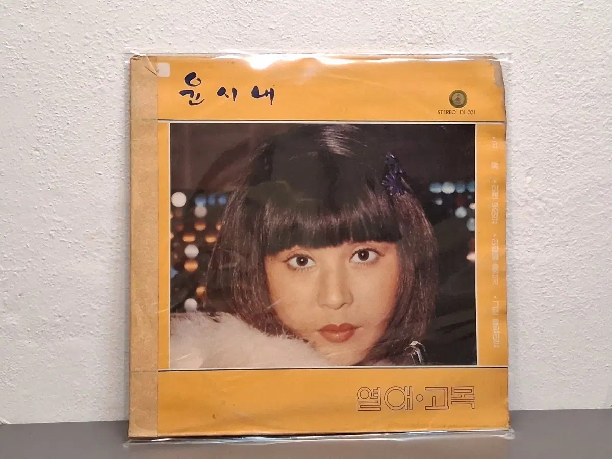 윤시내 LP 희귀반