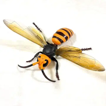 리얼 대형 말벌 피규어 약 25 x 37.5cm 곤충 모형 Big
