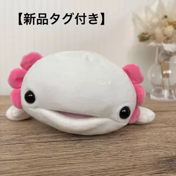 [택 포함] 모찌푸니 우파 봉제 인형 우파루파