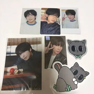 txt 태현 세트 뿔바투 다고냥