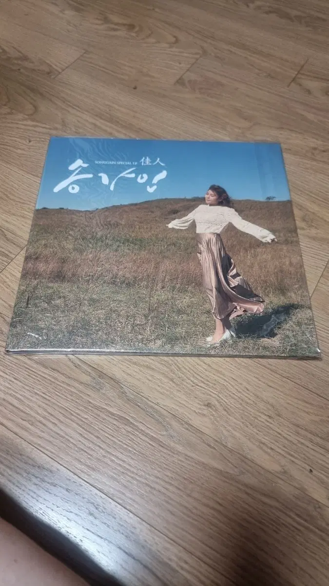 송가인 lp