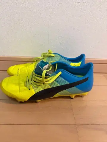 PUMA 에보파워 SG