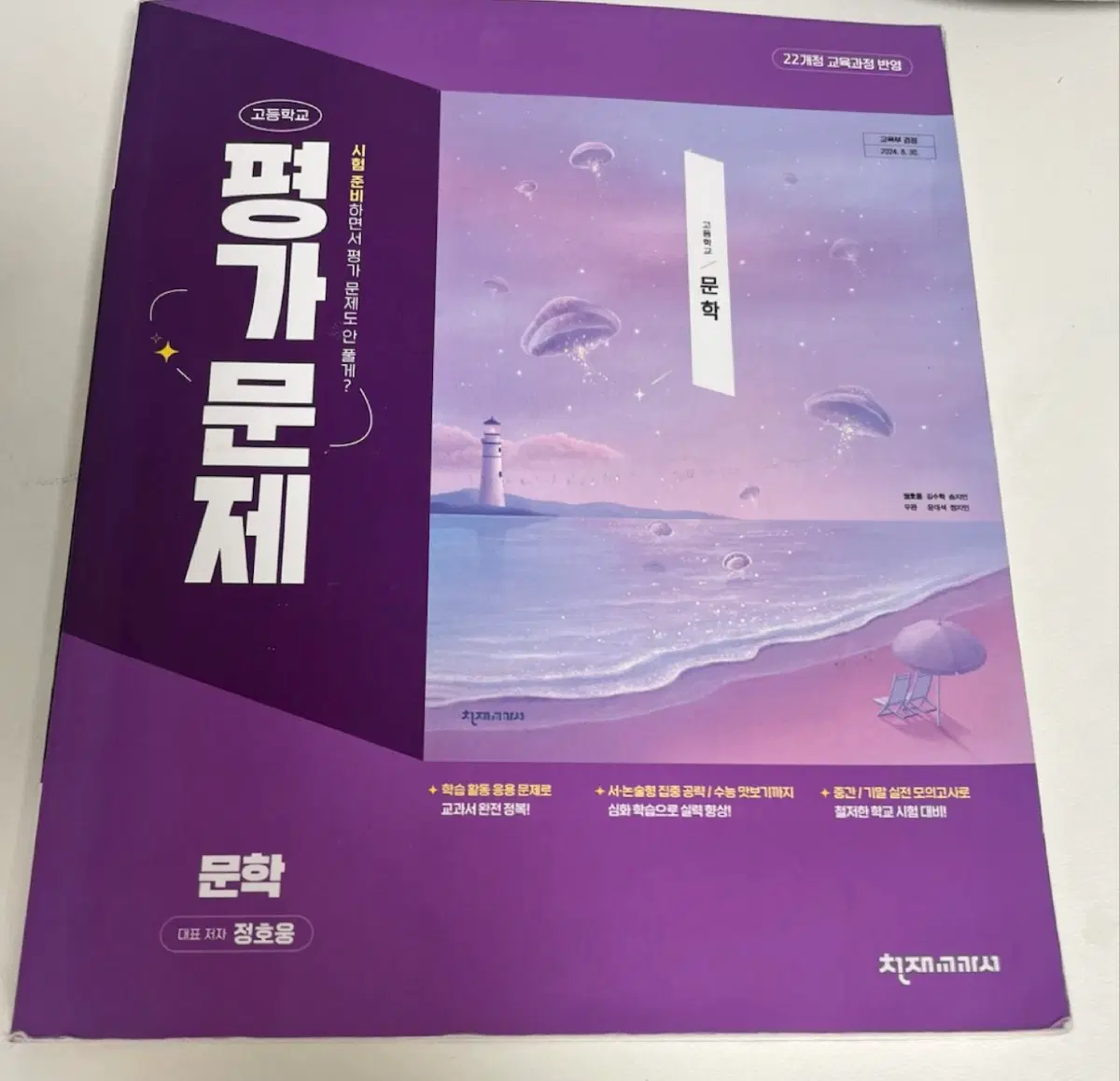 천재교과서 고등학교 문학 평가문제집 22개정 정호웅