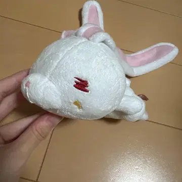 범용 토끼 식탐 마스코트 범용 데미지 고려인삼 CGP-347 하자품