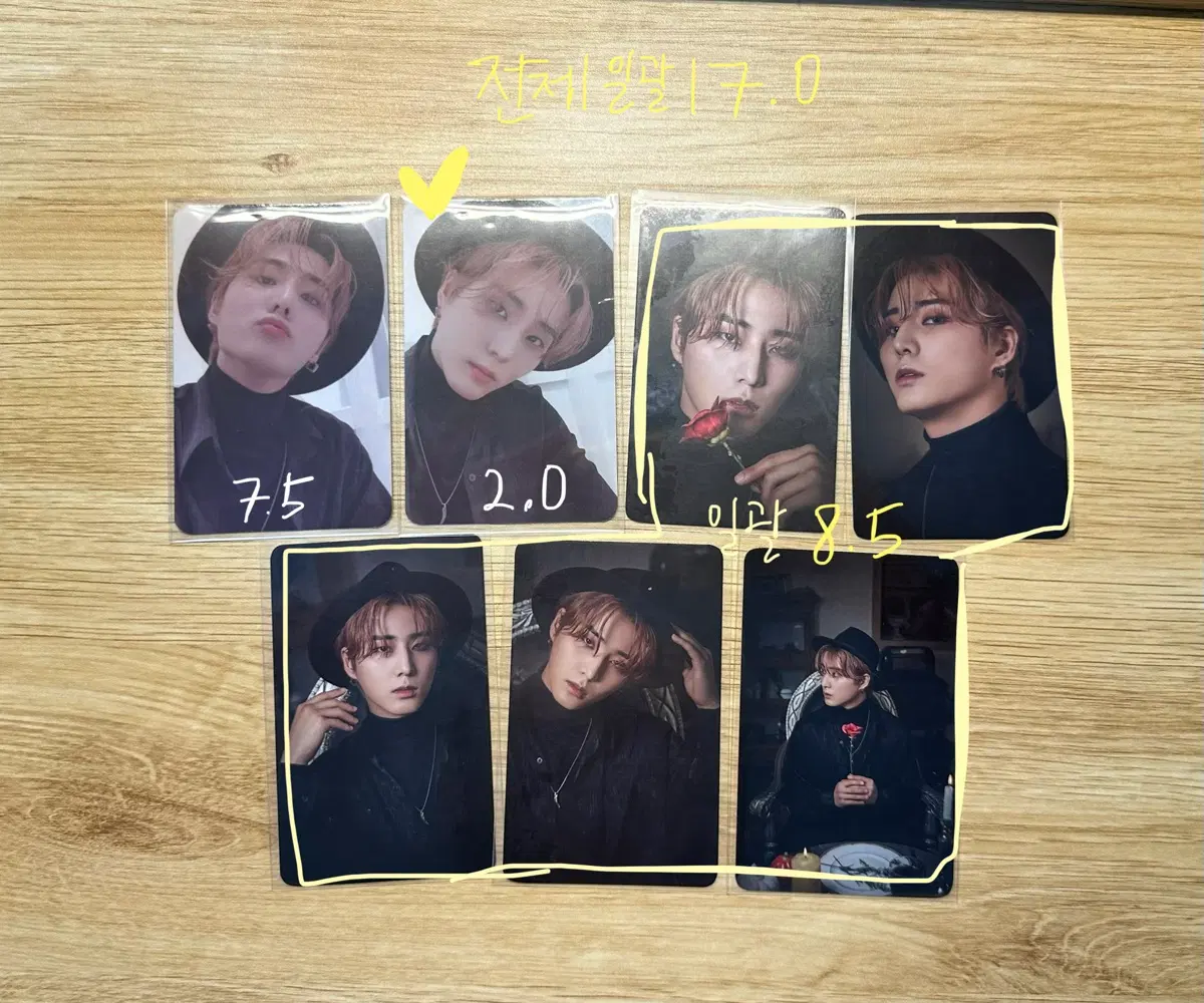 데이식스 영케이 할로윈 팝업 포카 세트 희귀 포토카드 강영현 엔트로피
