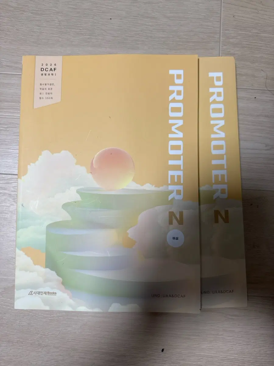 생1 시대인재 프로모터 N제