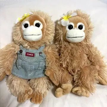 베이비 코코 COCO&NATSU 오랑우탄 봉제 인형 EDWIN 콜라보