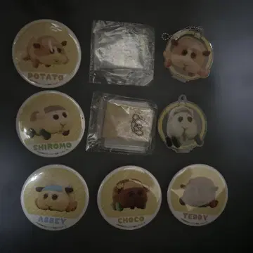 모루카 세트