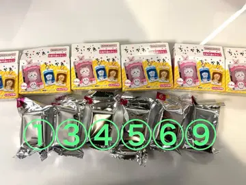 치이카와 초코 박스 6개 세트