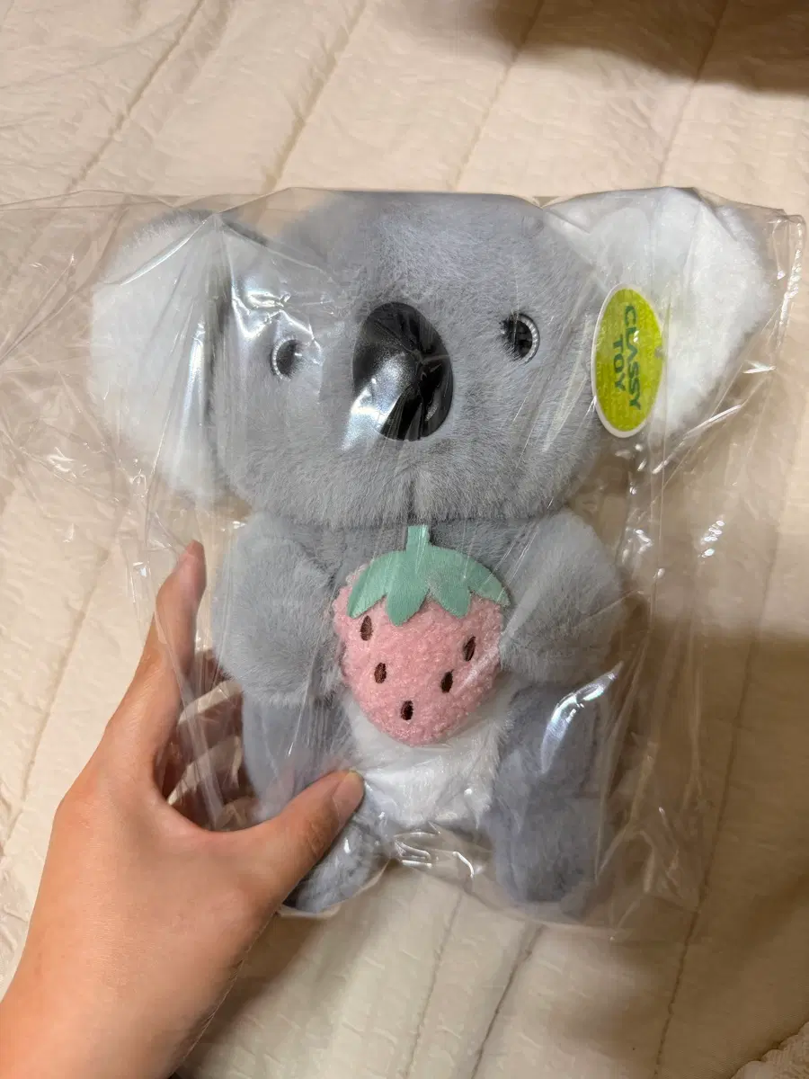 코알라 인형