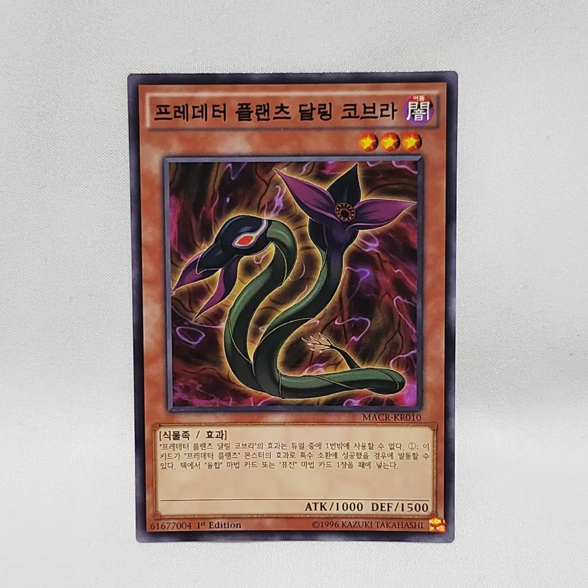 .유희왕카드
