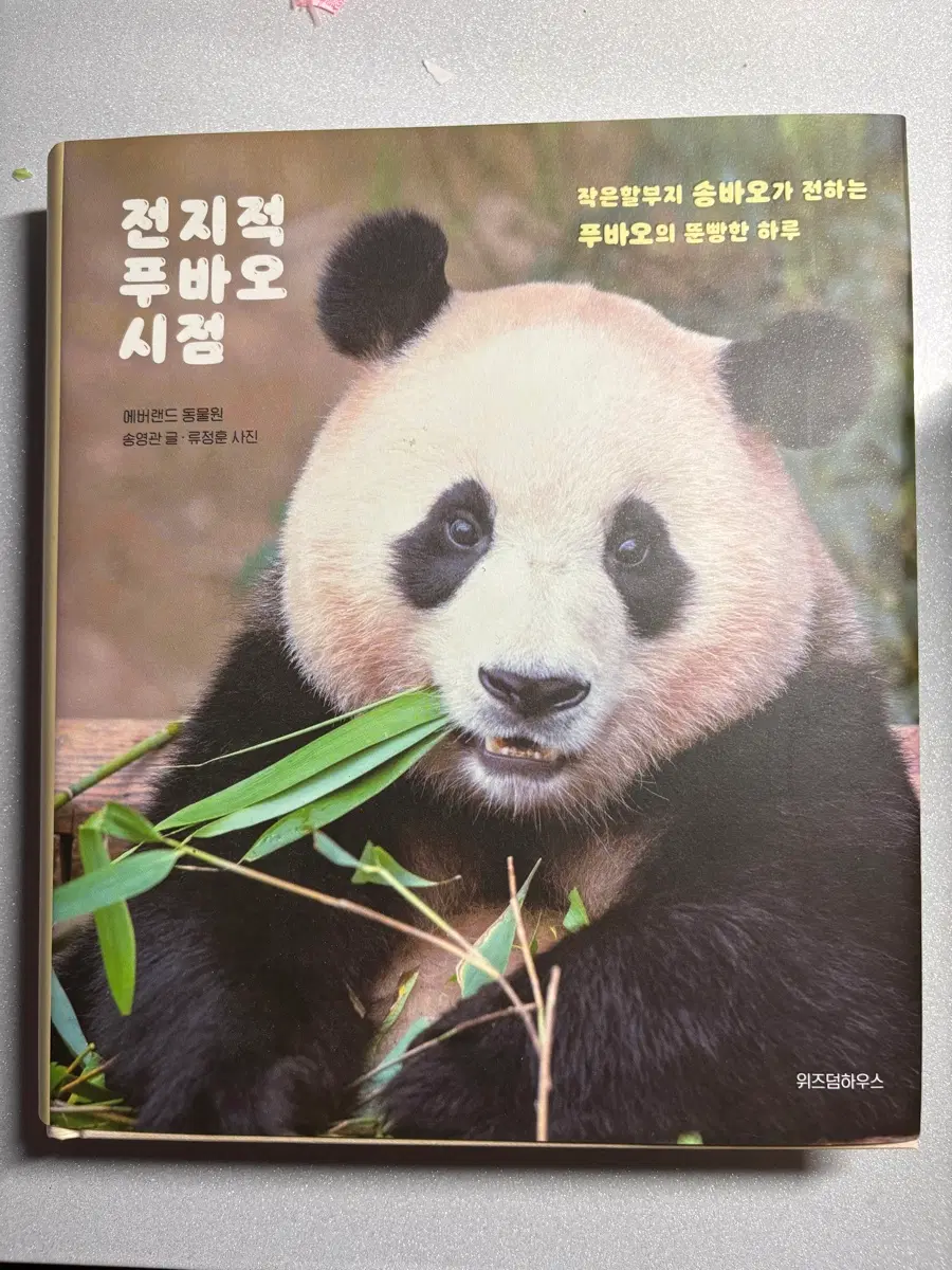 전지적푸바오시점, 아기판다푸바오