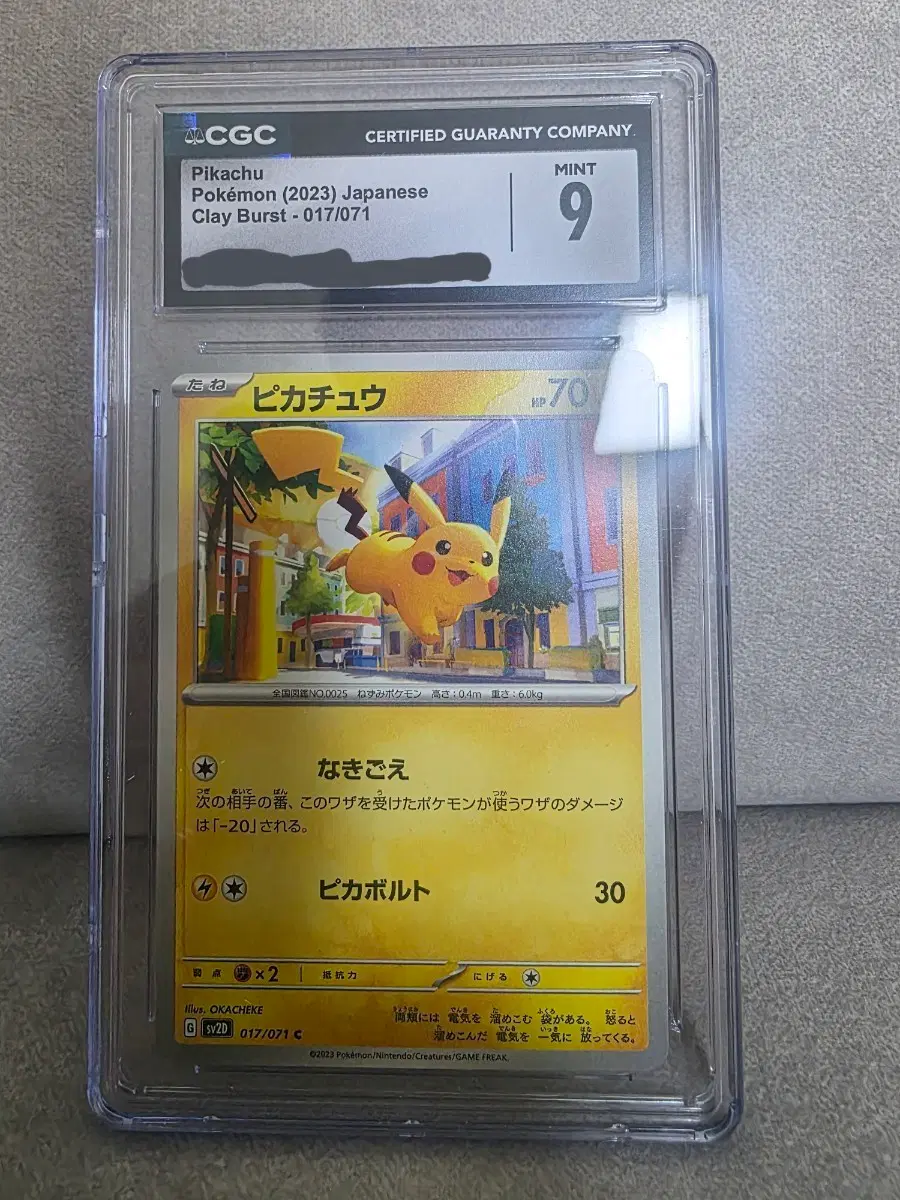포켓몬카드 일판 도심 도시 피카츄 CGC9 등카
