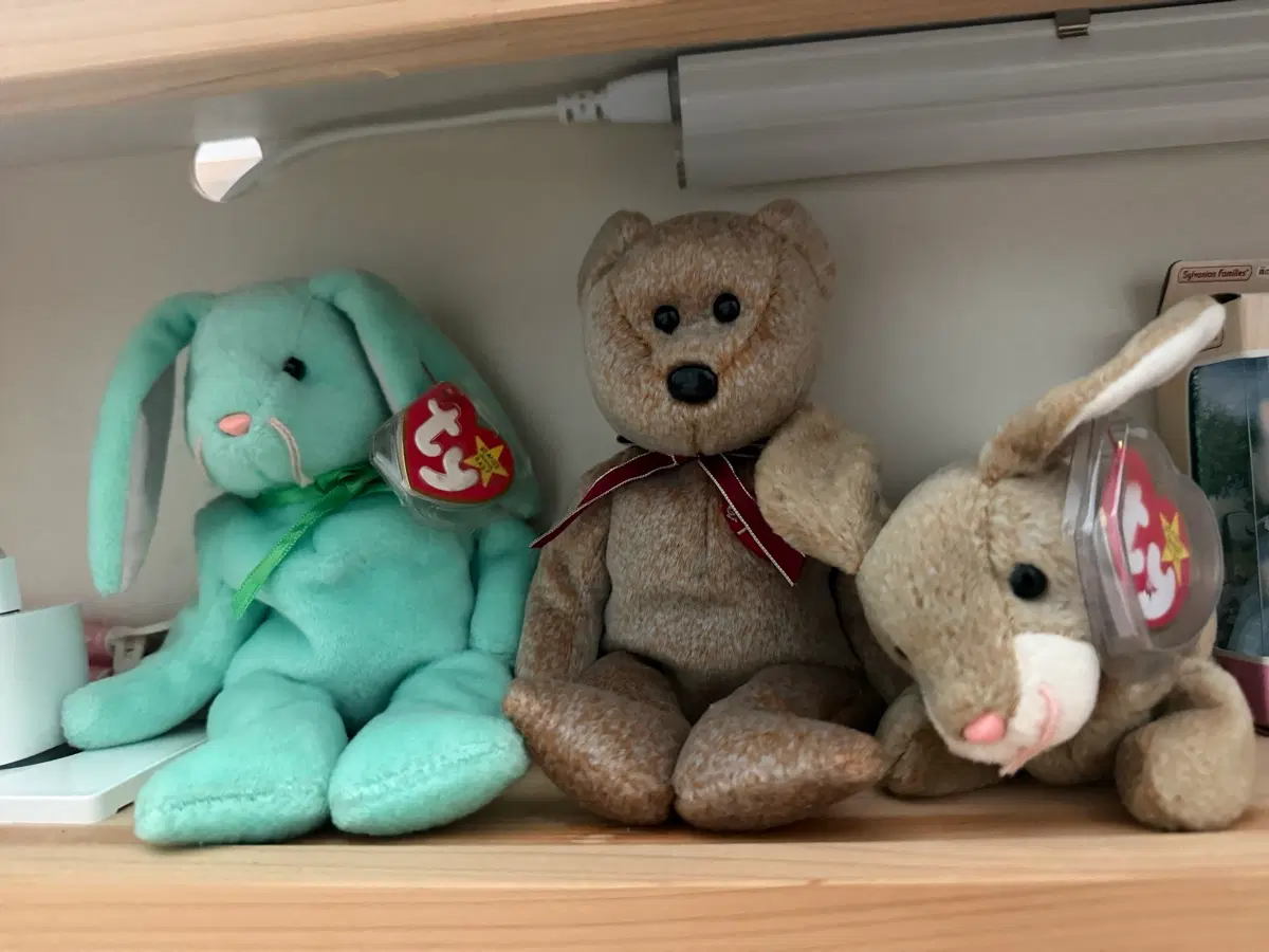 일괄) ty인형 베어 토끼