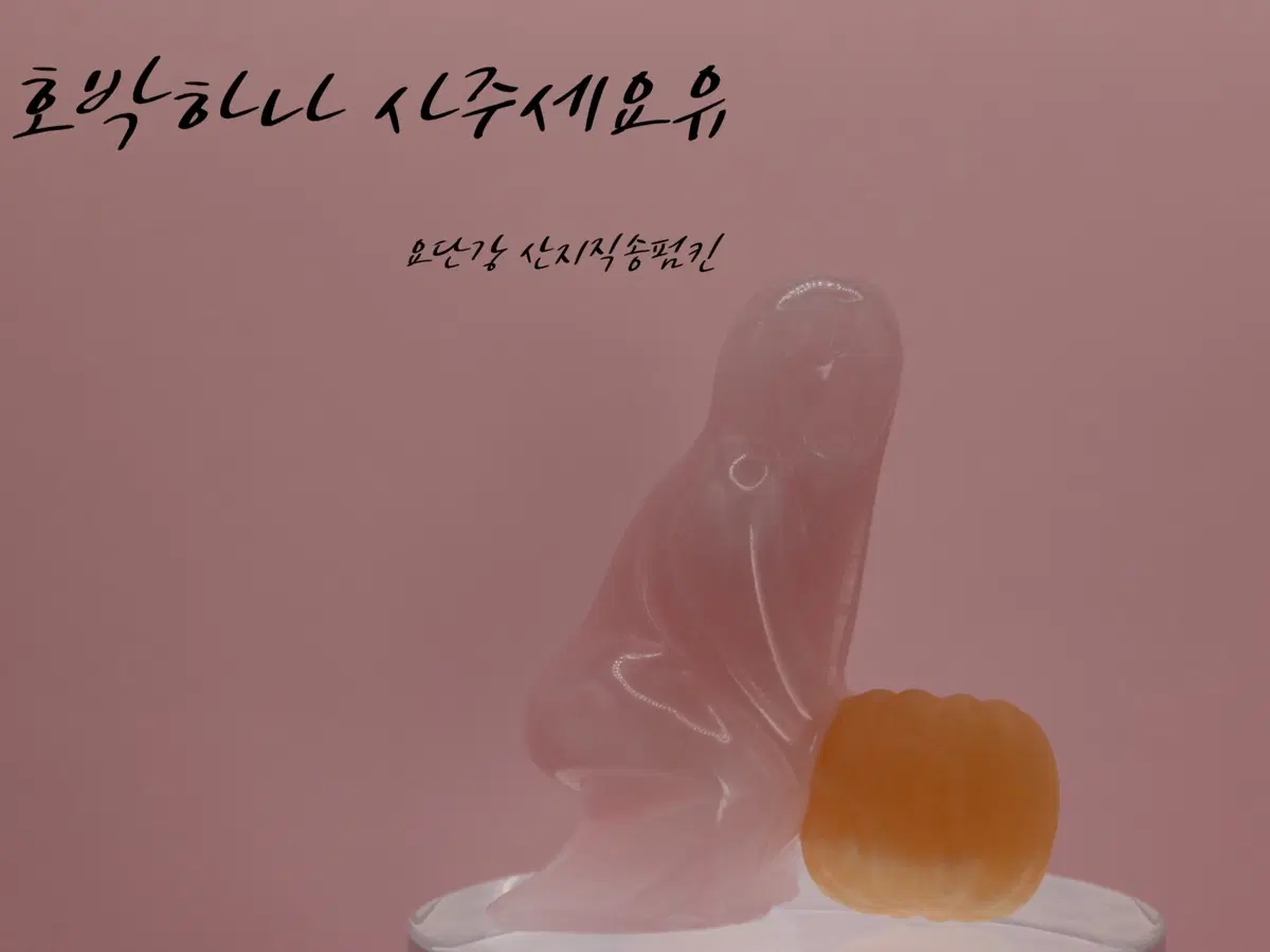 로즈쿼츠 고스트 & 칼사이트 펌킨 카빙