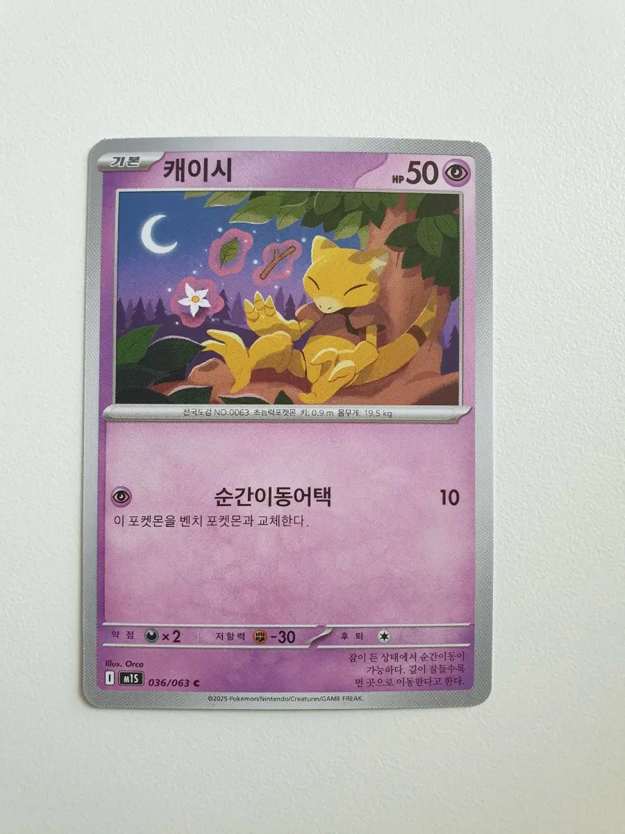 캐이시 포켓몬카드