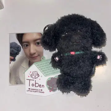 EXO 찬열 토벤 봉제 인형
