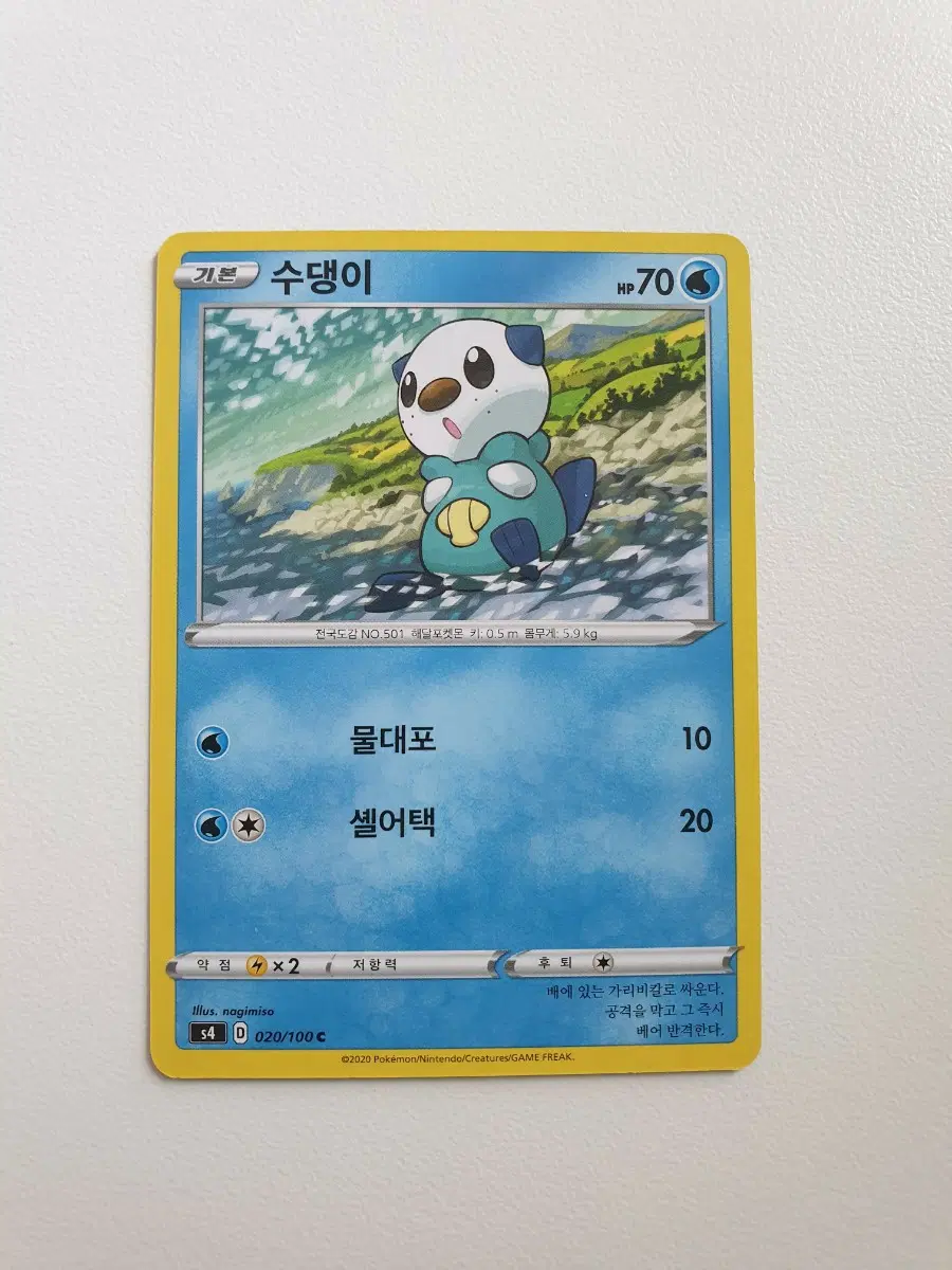 수댕이 포켓몬카드