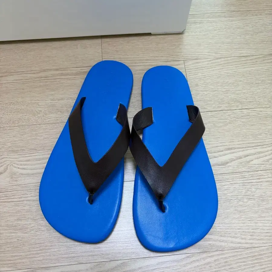오라리 st 쪼리