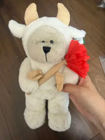 Starbucks 베어리스타 양