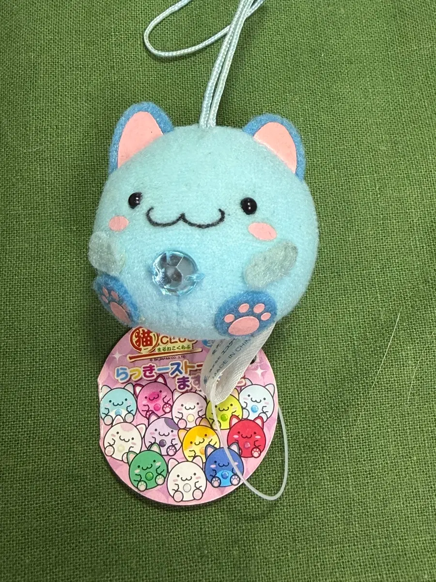 고양이 클럽 하늘 고양이