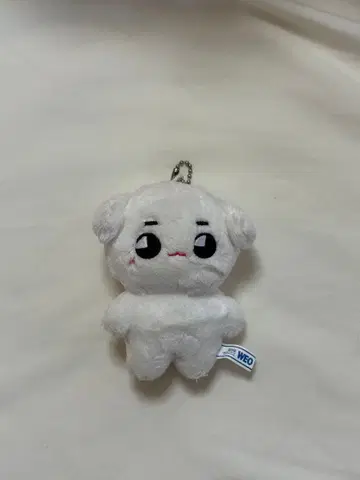 NCT 태용 봉제 인형 태용 태용 태용