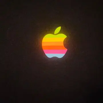[공식] Apple 티셔츠 레인보우 로고 L 블랙