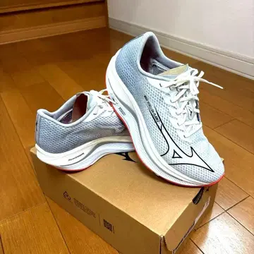 MIZUNO WAVE REBELLION FLASH 2 mens 26cm