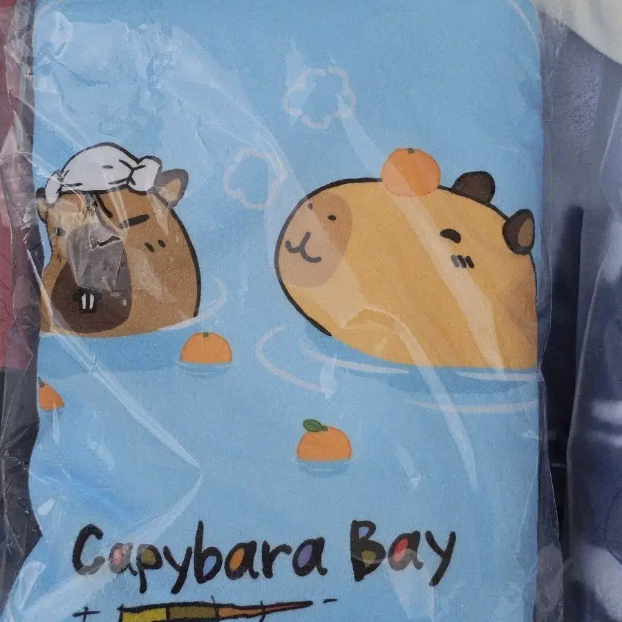 카피바라베이 비치타올 에버랜드 뿌직빠직
