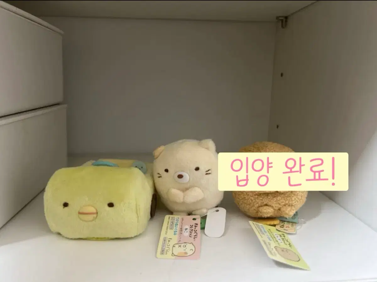 일괄가격, 개별 o) 스미코구라시 네코 펭귄 자동차