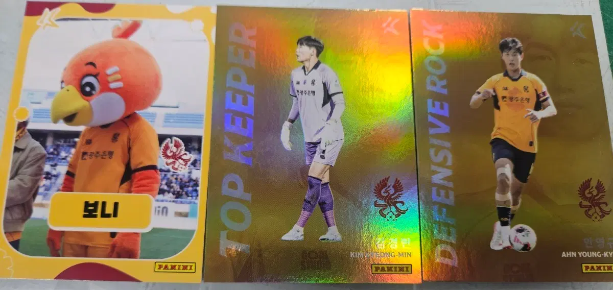 2026 파니니카드 광주fc