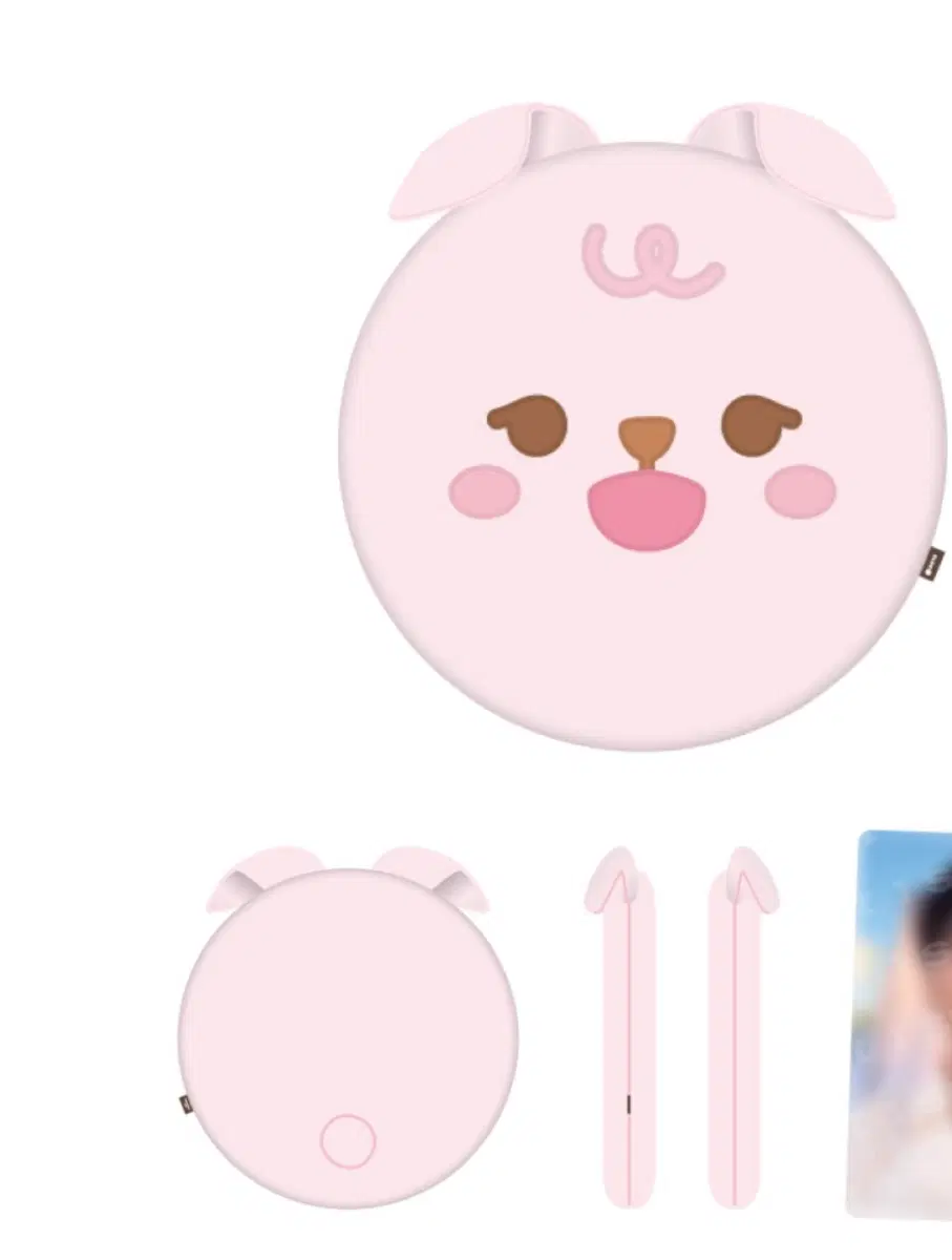 데이식스 필 방석 쁘띠 데니멀즈 쁘멀 쿠션