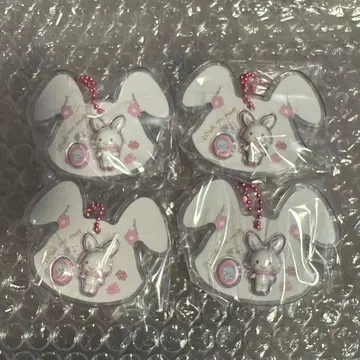 [ 즉시 구매 가능 ] 산리오 sanrio 패키지 참 위시미멜 세트
