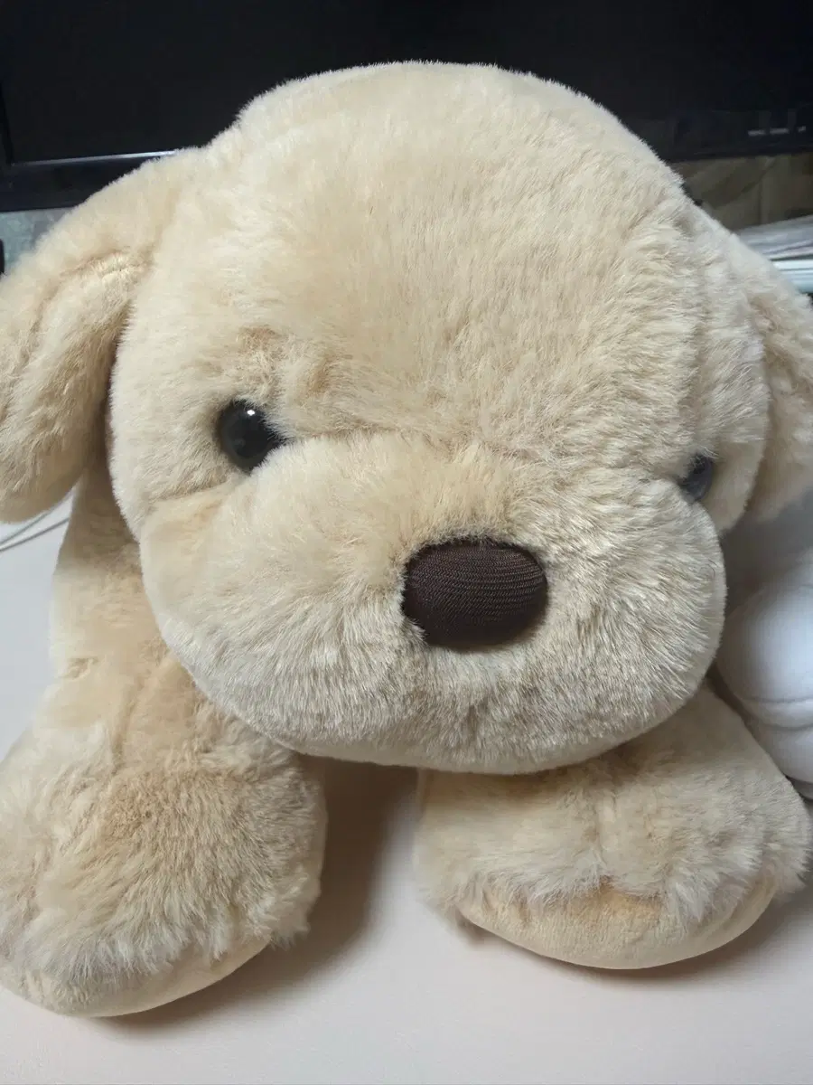 라잉독 인절미 뭉뭉이 30cm 인형/ 다이소 시나모롤 인형