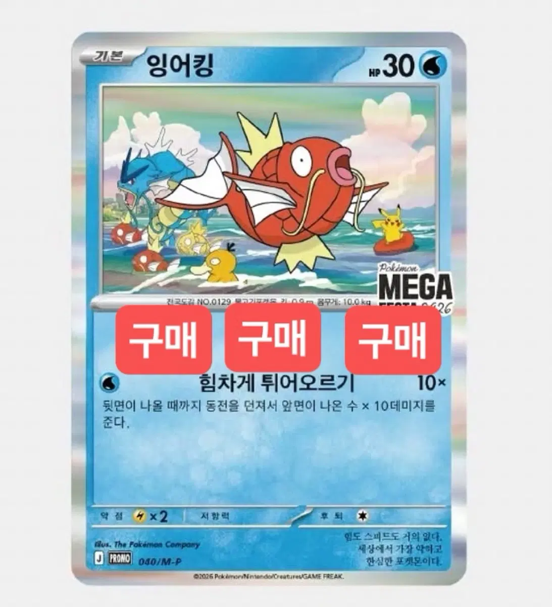 잉어킹카드 100장구매