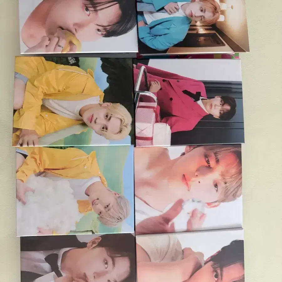 세븐틴 캐럿반