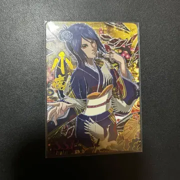 NARUTO 질풍전 코난 SSP 트레이딩 카드