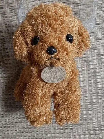 Heart Angel 토이 푸들 봉제 인형 앉은 강아지 브라운 20cm
