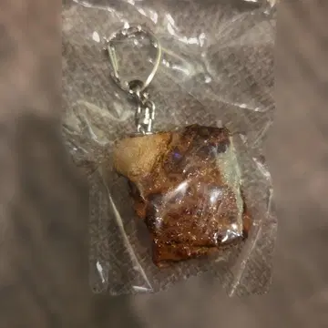 식품 샘플 고기 키링