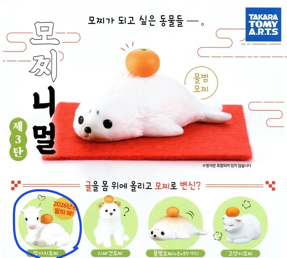 모찌니멀 망아지 말 귤 동물 가챠