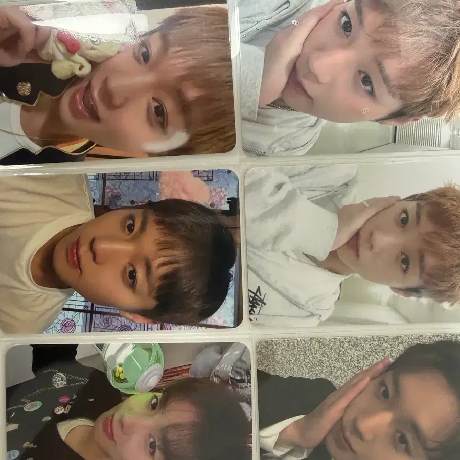 박지훈 포카 6장 일괄(이쁜것들만모아둠)