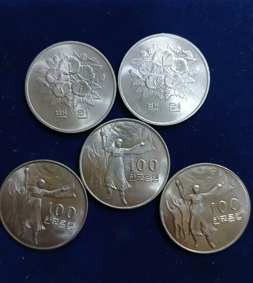 한국은행 100원 동전 5개