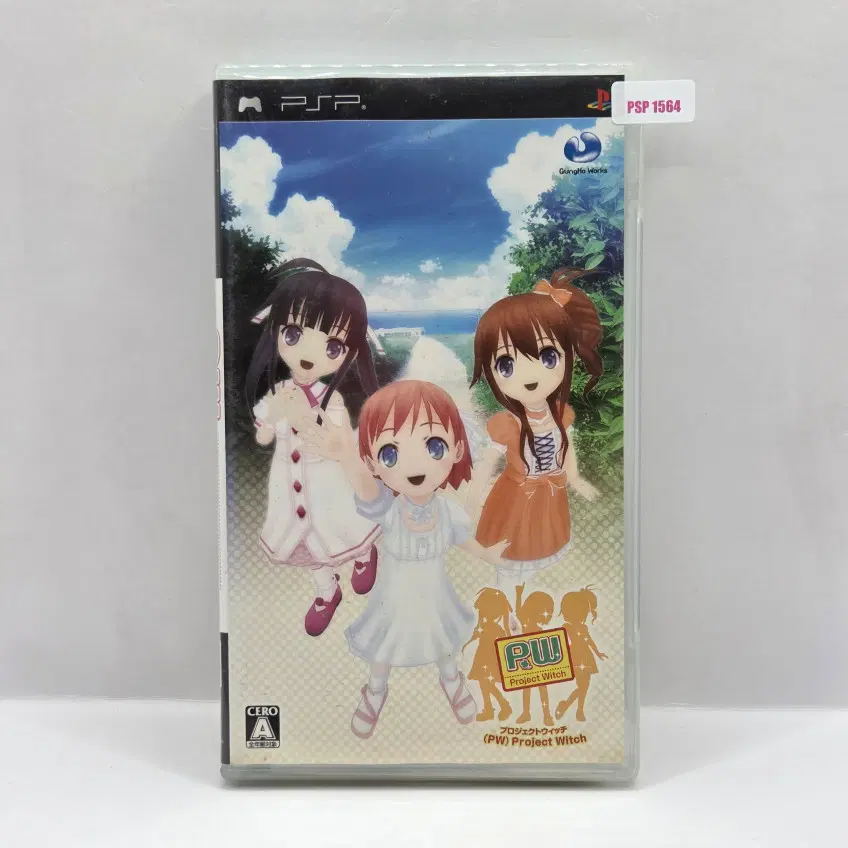 [일판] PSP 프로젝트 위치 (N1564)