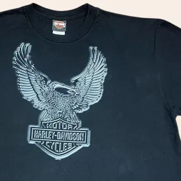 Harley-Davidson Eagle Graphic T-Shirt