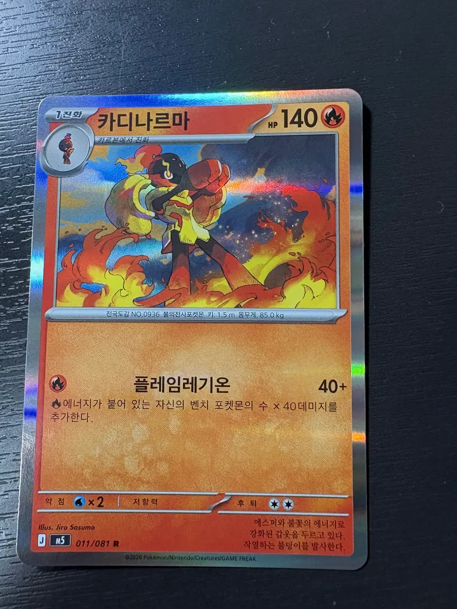 포켓몬카드 카디나르마 R카드