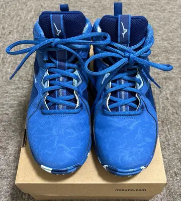 MIZUNO WAVE DIVERSE LG4 Ltd 22.5cm
